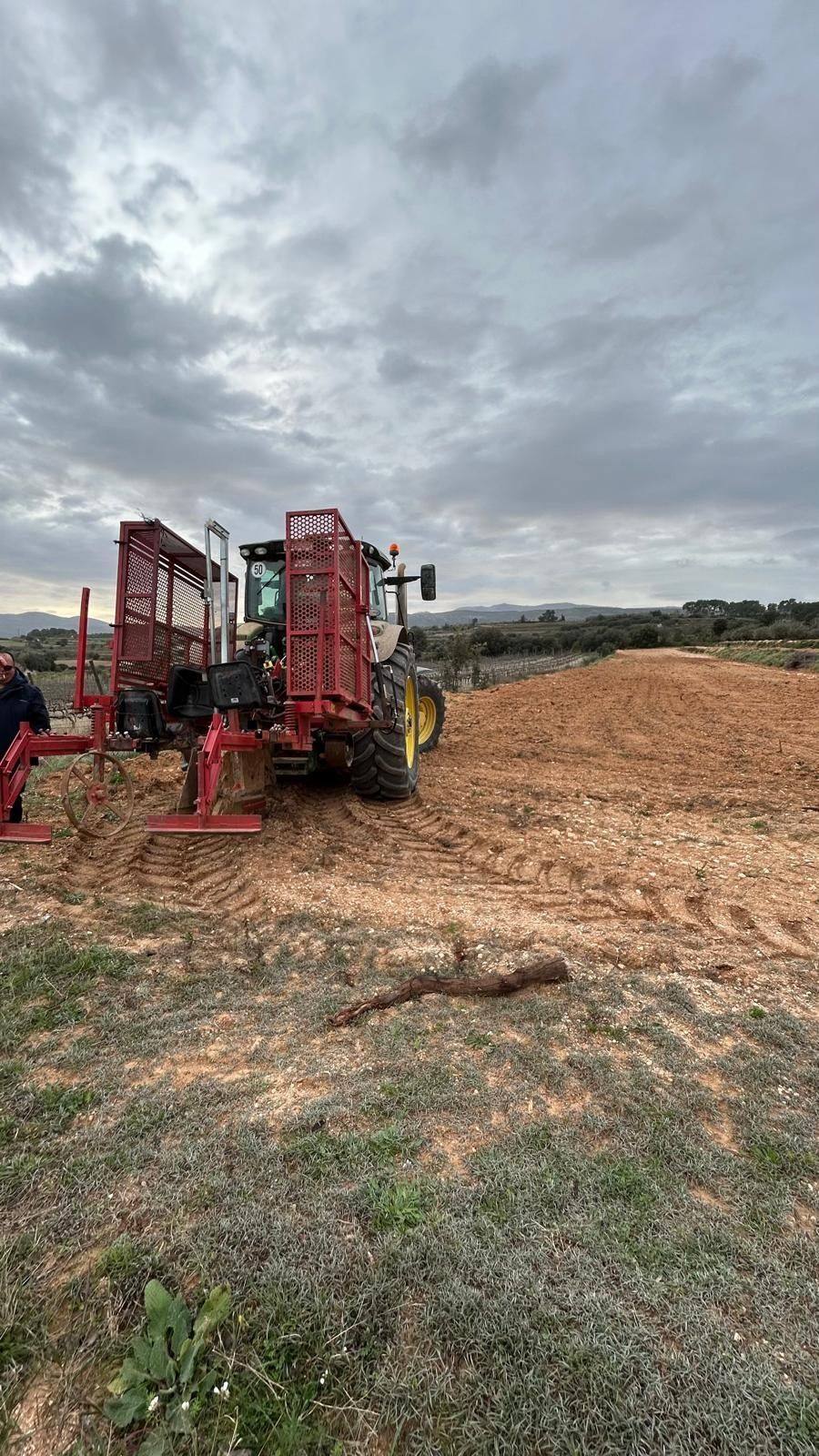 Tractor plantando un olivar en superintensivo